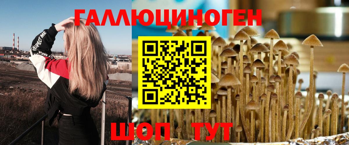 Псилоцибиновые грибы Cubensis  Вход с VPN  Владимир 
